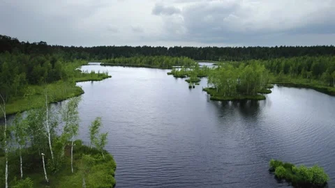 Lake in the forest with a drone Stock Footage 238502794