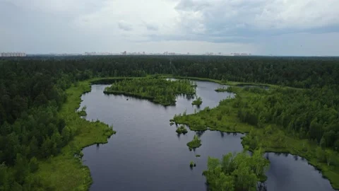Lake in the forest with a drone Stock Footage 238502829