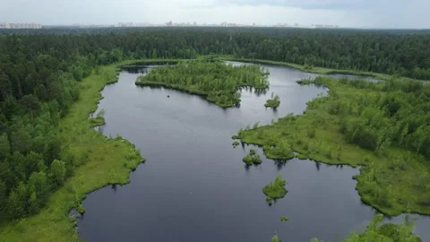 Lake in the forest with a drone Stock Footage 238502856