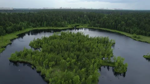Lake in the forest with a drone Stock Footage 238502858