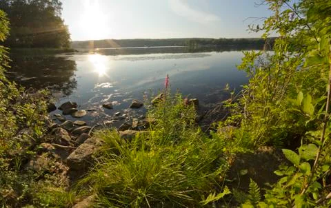 Lake Forest Dusk Stock Photos