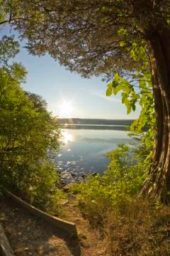 Lake Forest Dusk Stock Photos