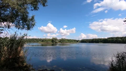 Lake in the forest is the eighth. Stock-Footage 136670454