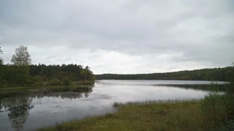 Lake in forest at the evening. Cloudy day, wild nature. Summer or autumn fall. Vidéo 161596367