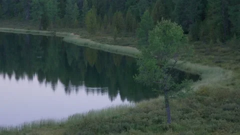Lake in the forest, evening Stock Footage 171760102