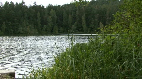 Lake by forest Stock Footage 755695