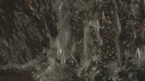 Lake in forest Stock Footage 881272