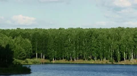 Lake in forest Stock Footage 10572570