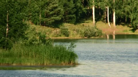 Lake in forest Stock Footage 10572574
