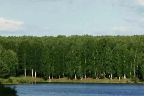 Lake in forest Stock Footage 10682364