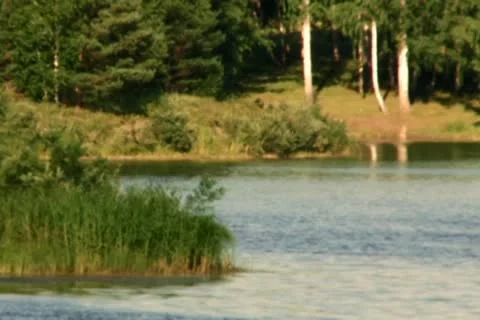 Lake in forest Stock Footage 10682369