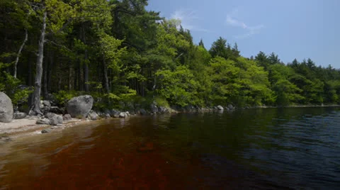 Lake in Forest Stock Footage 24618361