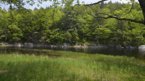 Lake in Forest Stock Footage 24618393