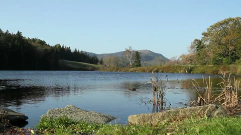 Lake in the forest Stock Footage 28643099