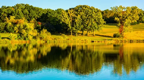 Lake by the Forest Stock Footage 30958397