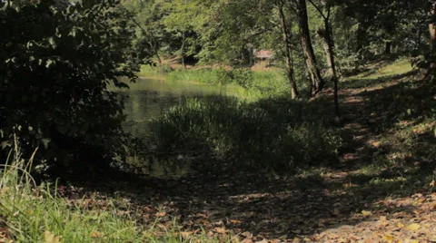 Lake in the forest Stock Footage 32375627