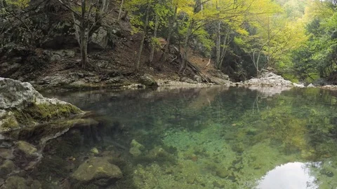 Lake in forest. Stock Footage 70157266