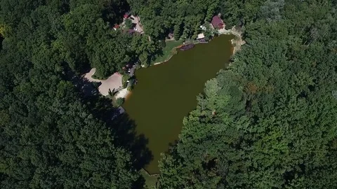 Lake in the forest Stock Footage 84030500