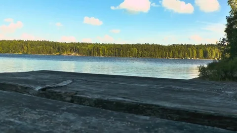 Lake in the forest Stock Footage 94027970