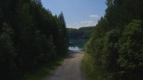 Lake in the forest Stock Footage 96675080