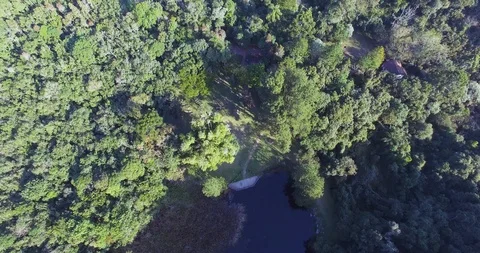 From the lake to the forest Stock Footage 106880014