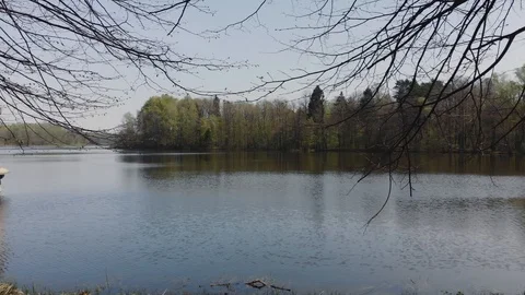 Lake in the forest Stock Footage 107329180