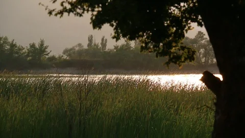 Lake in the forest Stock Footage 107397727