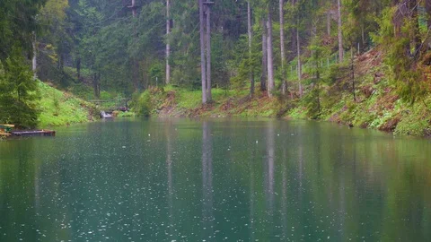 Lake in the forest Stockbeeldmateriaal 107659474