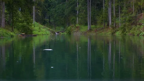 Lake in the forest Stock Footage 107659530