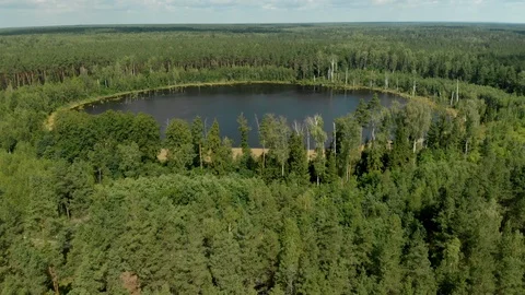 Lake in the forest Stock Footage 116982708