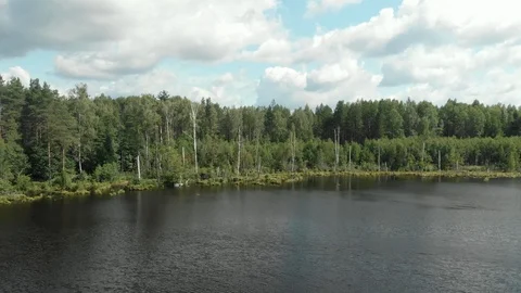 Lake in the forest Stock Footage 116982802