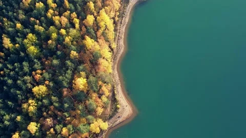 Lake with forest Stock Footage