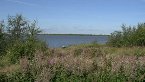 Lake in the forest Stock Footage 170059190
