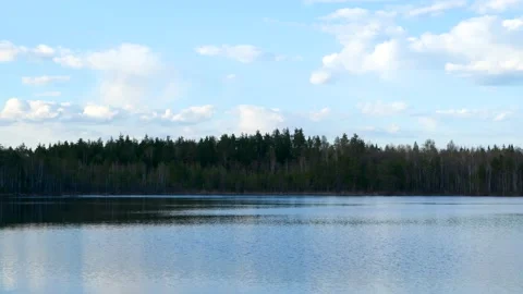 Lake in the Forest Stock Footage 196727778