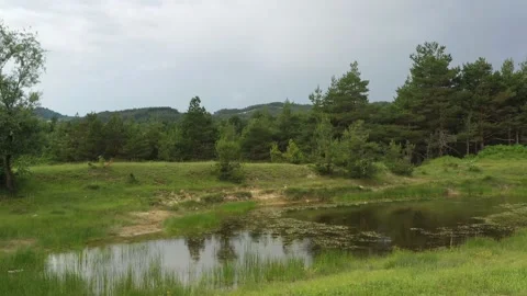 Lake in the forest Stock Footage 197059758