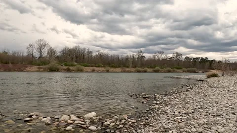 Lake in the forest Stock Footage 202380058
