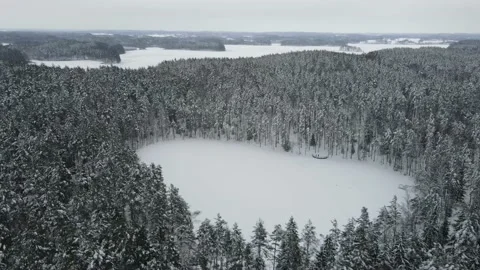 Lake in the forest Stock Footage 219269499