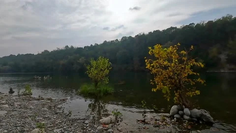 Lake in the forest Stock Footage 227345227