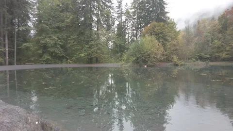 Lake in the forest Stock Footage 231252284