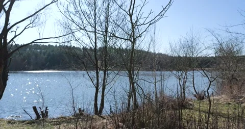 Lake in the forest Stock Footage 274434065