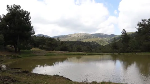 Lake in the Forest Stock Footage 293516336