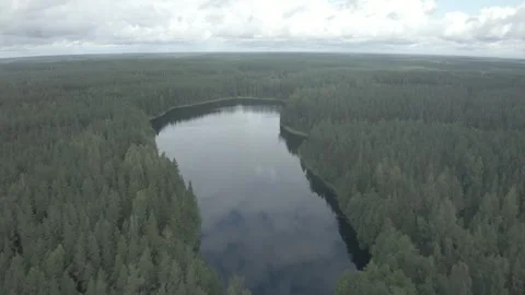 A lake in a forest Stock Footage 331771708