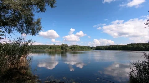 The lake in the forest is the fourth. 스톡 동영상 136670979