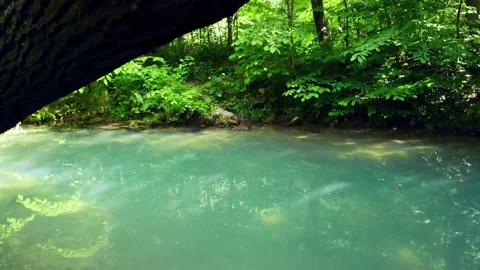 Lake in the forest with gray water	 Stock Footage 149321177