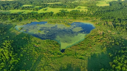 Lake in forest. Lake in shape of a heart in forest. Freshwater Lakes Video stock 201340200