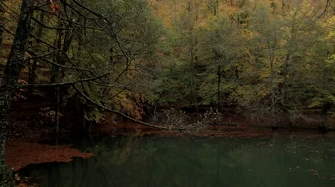 Lake Forest Landscape Stock Footage 43327299