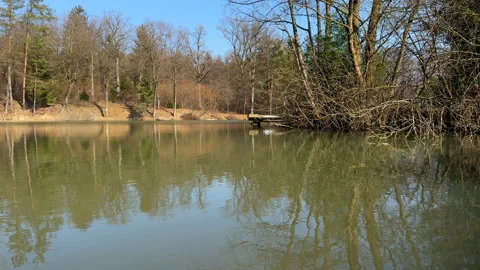 Lake with forest late winter Stock Footage 233426429