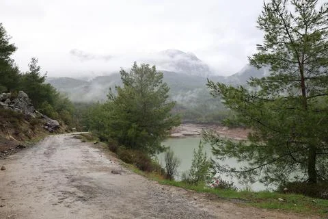 Lake forest mountains Foto stock