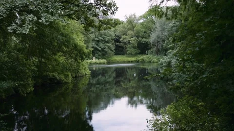 Lake in a Forest Park Wind Blowing in the Trees Stock Footage 341067972