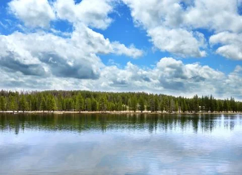 Lake with forest Stock Photos